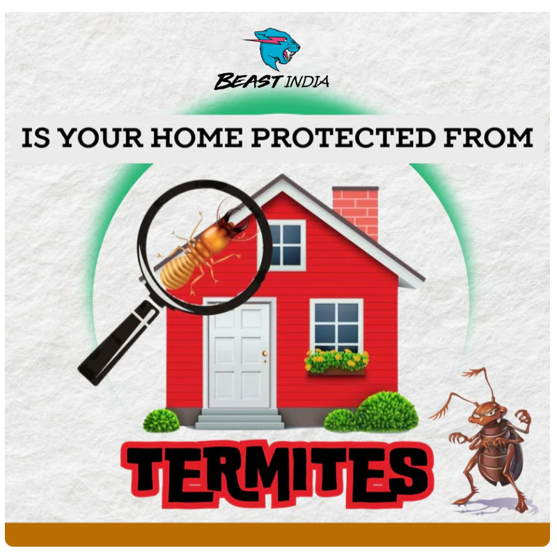 Termite Killer Spray - 🔥 BUY 1 GET 2 FREE 🔥